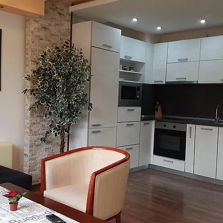 Yana Apartment *